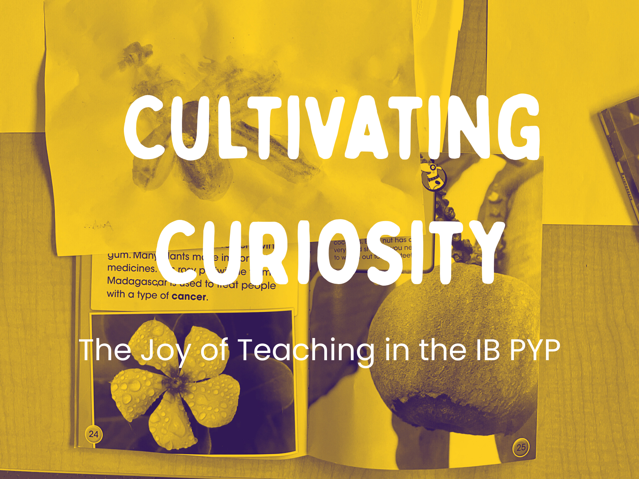 Cultivating Curiosity: The Joy of Teaching in the IB PYP