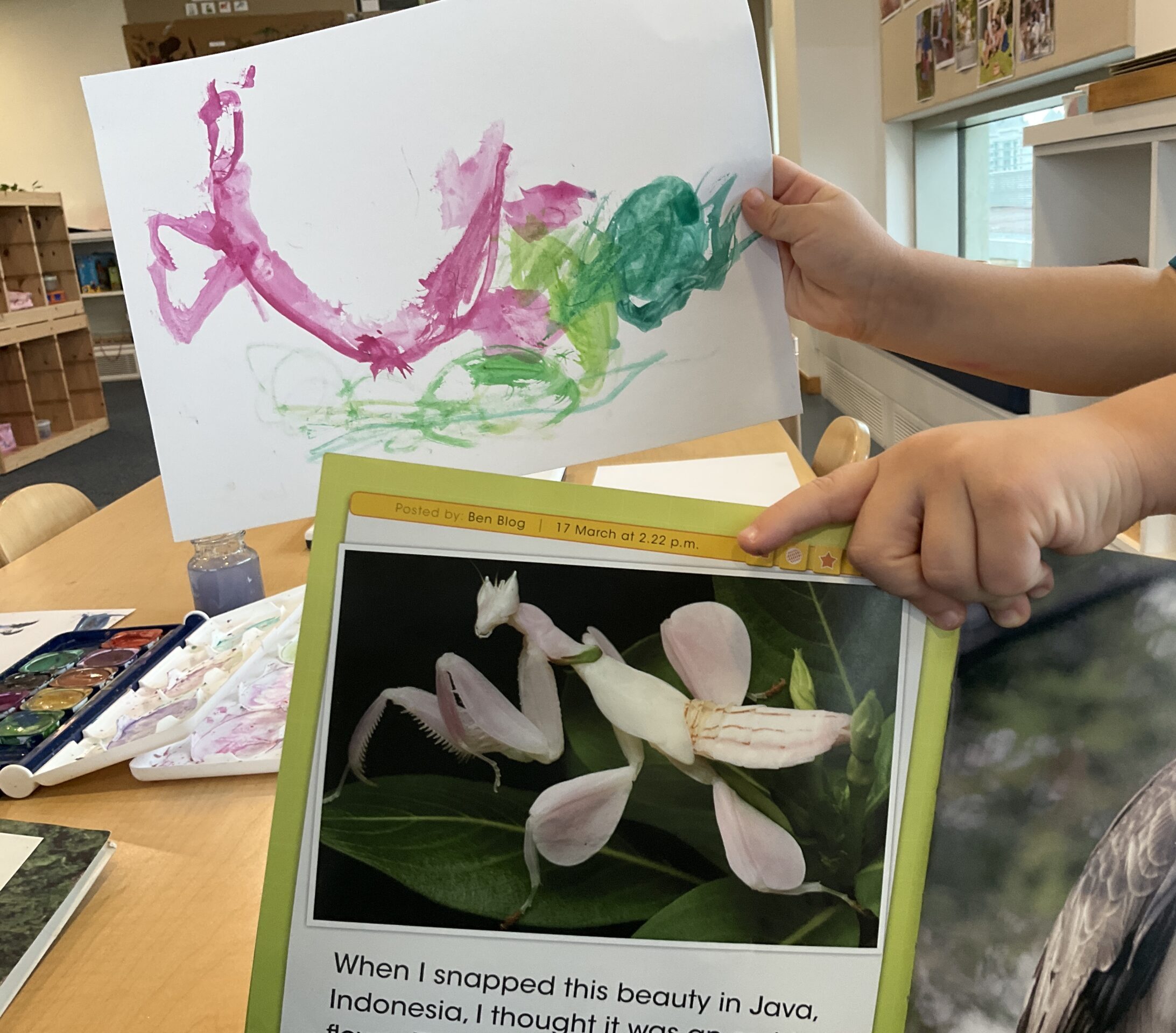 Seeing Like an Artist & Thinking Like a Scientist: Observing Insects with Kindies