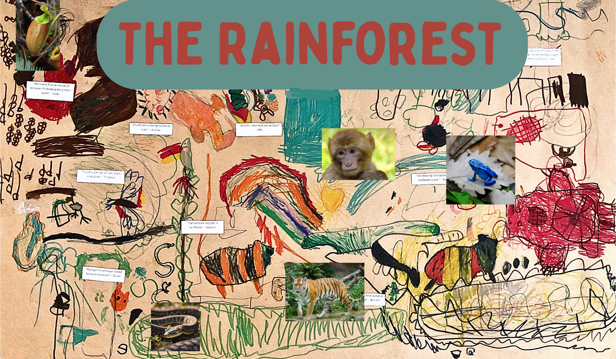 Exploring the Magic of the Rainforest: A Kindergarten Art Adventure!